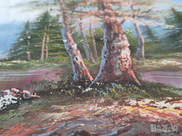 Платно маслени бои, снимка 5 - Картини - 52371989