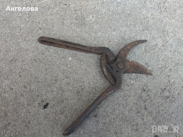 Лозарска ножица