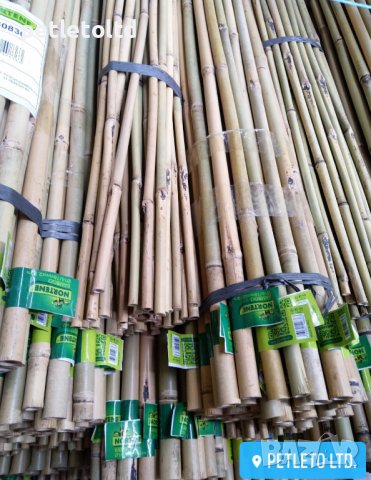 Бамбукови колчета Ф 16 мм - Ф 18 мм / 2,10 метра, снимка 6 - Разсади - 36886966