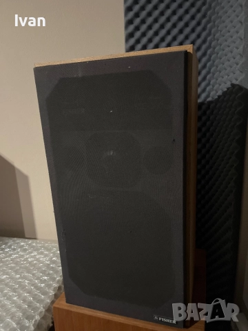 Fisher STE-300, снимка 5 - Тонколони - 52939289