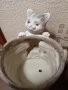 Саксия с котка,кашпа за цветя., снимка 9