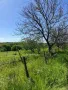 Продавам парцел в село Стамболийски, област Хасково, снимка 10