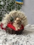 чихуахуа момченца, снимка 7