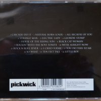 Компакт дискове CD Geordie ‎– Can You Do It, снимка 2 - CD дискове - 35378806