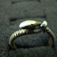 Сребърен пръстен змия, снимка 1 - Пръстени - 35558172