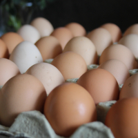 Домашни Яйца 15лв кора, снимка 10 - други­ - 36397255