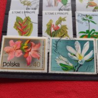 Пощенски марки чиста комплектна серия Растения, Цветя стари редки за колекция декорация - 22048, снимка 5 - Филателия - 36642246