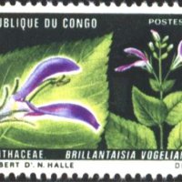 Чиста марка Флора Цветя 1970 от Конго Бразивил, снимка 1 - Филателия - 32870290