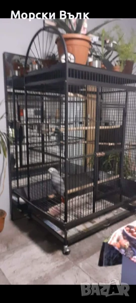 Голяма клетка, снимка 1