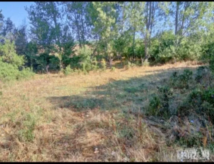 Парцел с.Веселие, снимка 1