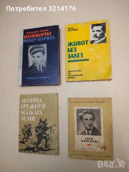 Живот без залез - Надка Косеркова, снимка 1