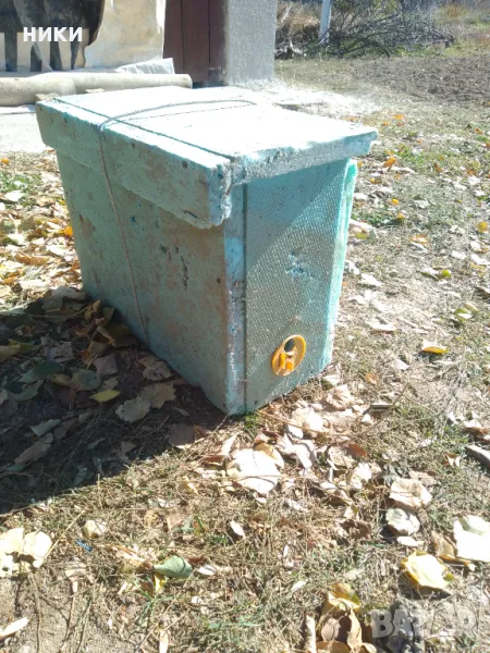 капан за пчели,оси, стършели с две рамки, снимка 1