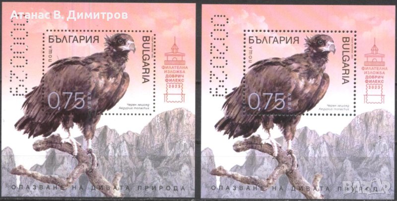 Чисти блокове Фауна Птица Черен Лешояд 2023 от България, снимка 1