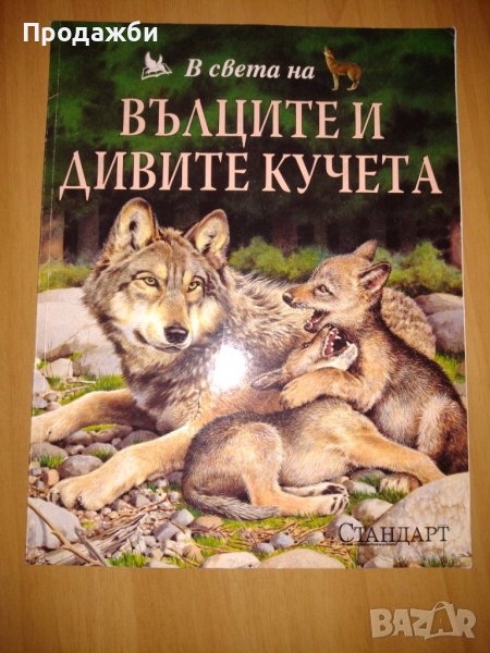Детска книга "В света на вълците и дивите кучета", снимка 1