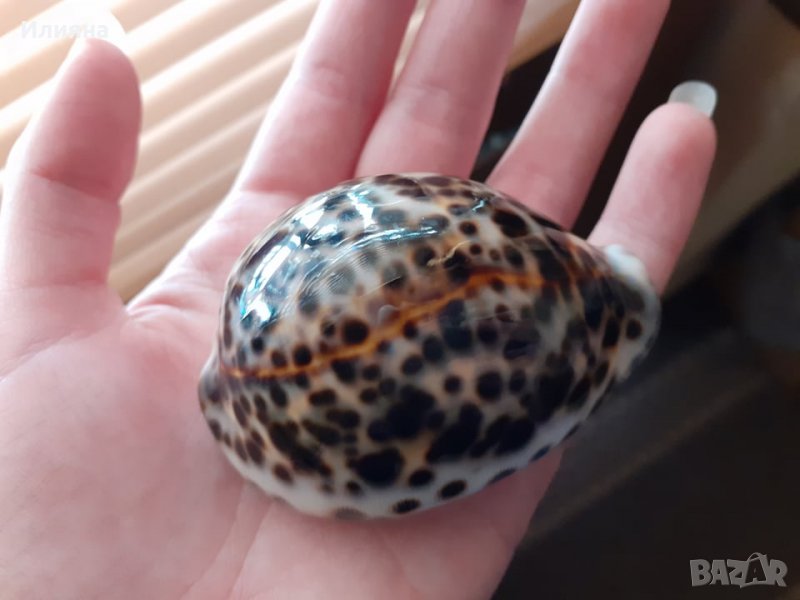 Страхотен подарък!, снимка 1