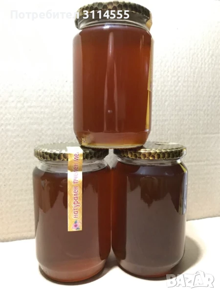 Горски натурален мед, снимка 1