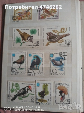 Пощенски марки – класьор СССР и Куба, снимка 11 - Колекции - 53592056