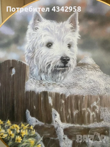 Колекционерска порцеланова чиния за стена от ограничена серия « Westies “., снимка 2 - Антикварни и старинни предмети - 50847215