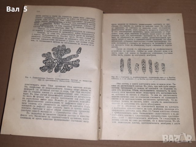 Стар учебник Обща биология проф Методи Попов 1934 г, снимка 3 - Специализирана литература - 33026529