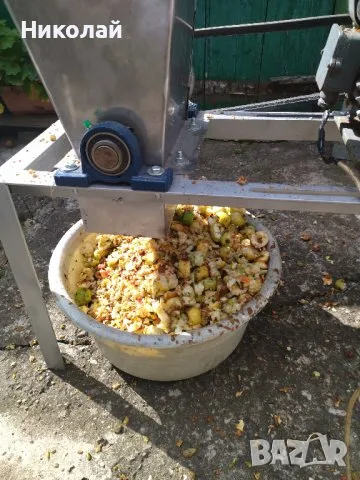 Машина за премахване костилки от сини сливи кайсии череши, снимка 5 - Други машини и части - 50402755