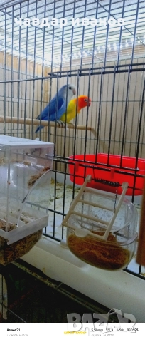 женска неразделка синя 