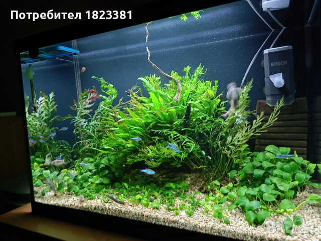 Напълно оборудван и работещ аквариум , снимка 9 - Аквариуми - 49185034