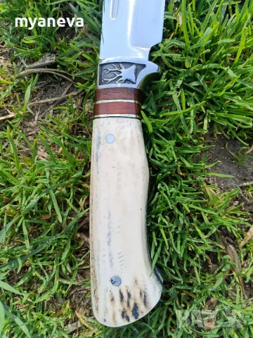 Ловджийски нож с дръжка от еленов рог и стомана 440 C , снимка 11 - Ножове - 49716197