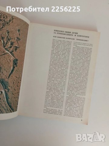 Какво знаем за земноводните и влечугите , снимка 8 - Специализирана литература - 51089420