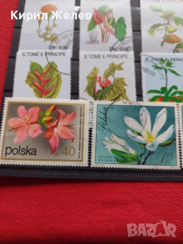 Пощенски марки чиста комплектна серия Растения, Цветя стари редки за колекция декорация - 22048, снимка 5 - Филателия - 36642246