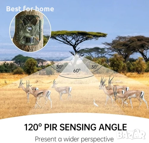 Камера за дива природа Coollia 20MP 1080P HD, снимка 5 - Камери - 50905743