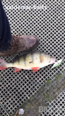 Воблер PERSH (костур ) на valdemar-baits, снимка 7 - Такъми - 26591153