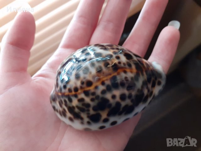 Страхотен подарък!