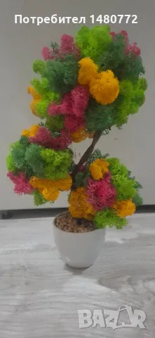 Бонсай със скандинавски мъх в саксийка, снимка 11 - Декорация за дома - 48125215