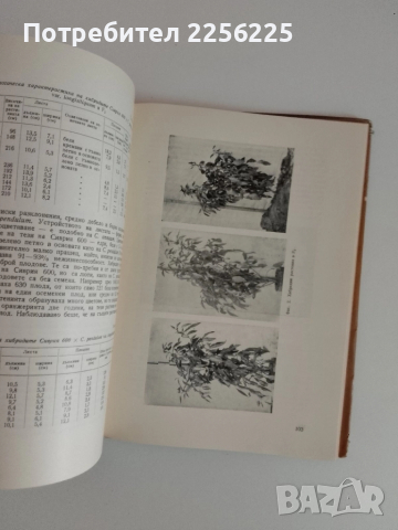 Генетични изследвания, снимка 5 - Специализирана литература - 51480753