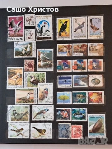 Пощенски марки тема ”Животни”., снимка 4 - Филателия - 53539491