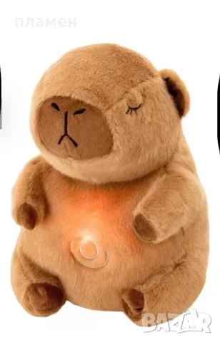 Музикална капибара с мърдащо се коремче