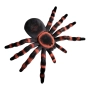 6158 Хелоуин украса голям паяк тарантула с оранжева окраска, 15x20 см, снимка 1