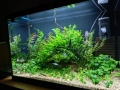 Напълно оборудван и работещ аквариум , снимка 9
