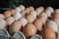 Домашни Яйца 0.50ст./бр, снимка 10