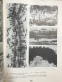 Микроангиология. Атлас Я. Л. Караганов, Н. В. Кердиваренко, В. Н. Левин, снимка 5