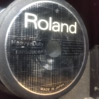 ROLAND SPIRIT 50- Китарно кубе, снимка 5 - Китари - 43685658