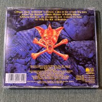 Running Wild,DIO,Manowar, снимка 5 - CD дискове - 43289426