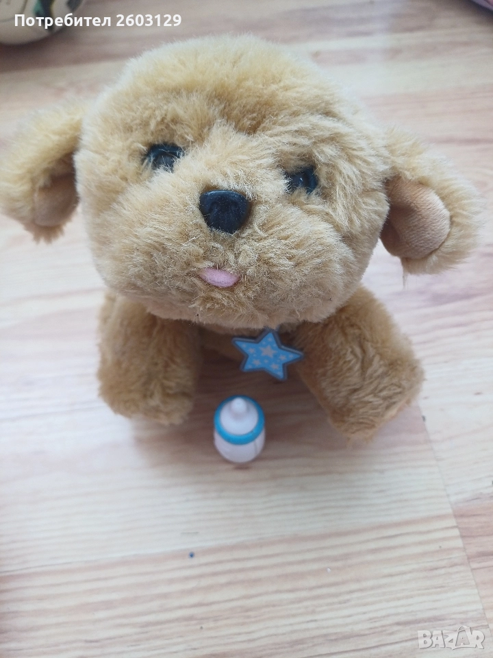 Куче Снъгълс , снимка 1