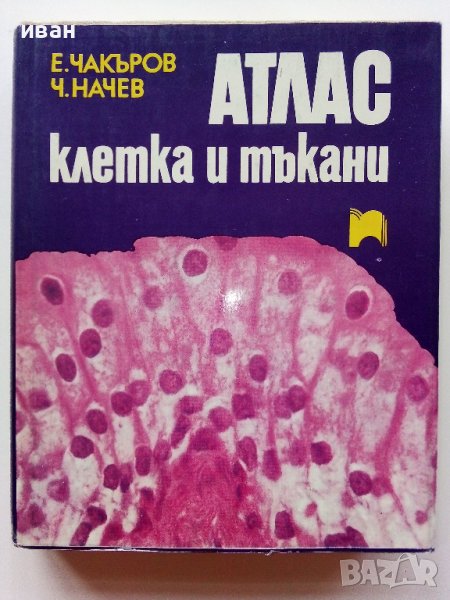 Атлас клетка и тъкани - Е.Чакъров,Ч.Начев - 1993г., снимка 1