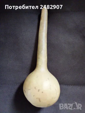 Кратуна със семки, снимка 2 - Декорация за дома - 49868000