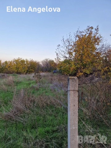 Два парцела в с. Чешнегирово, УПИ 1085 кв, УПИ 2036 кв, снимка 17 - Парцели - 52515241