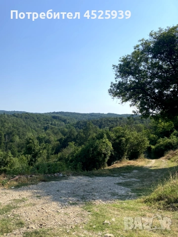 Парцел в регулация до гр. Елена, снимка 6 - Парцели - 52041440