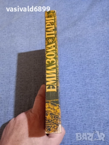 Емил Зола - Пари , снимка 2 - Художествена литература - 52896149