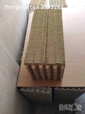 Продавам кори за яйца , снимка 12 - Кокошки и пуйки - 28068248