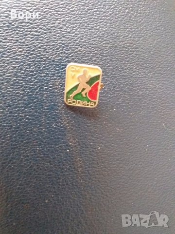 Значка "СМ V Родина", снимка 4 - Други ценни предмети - 28220302